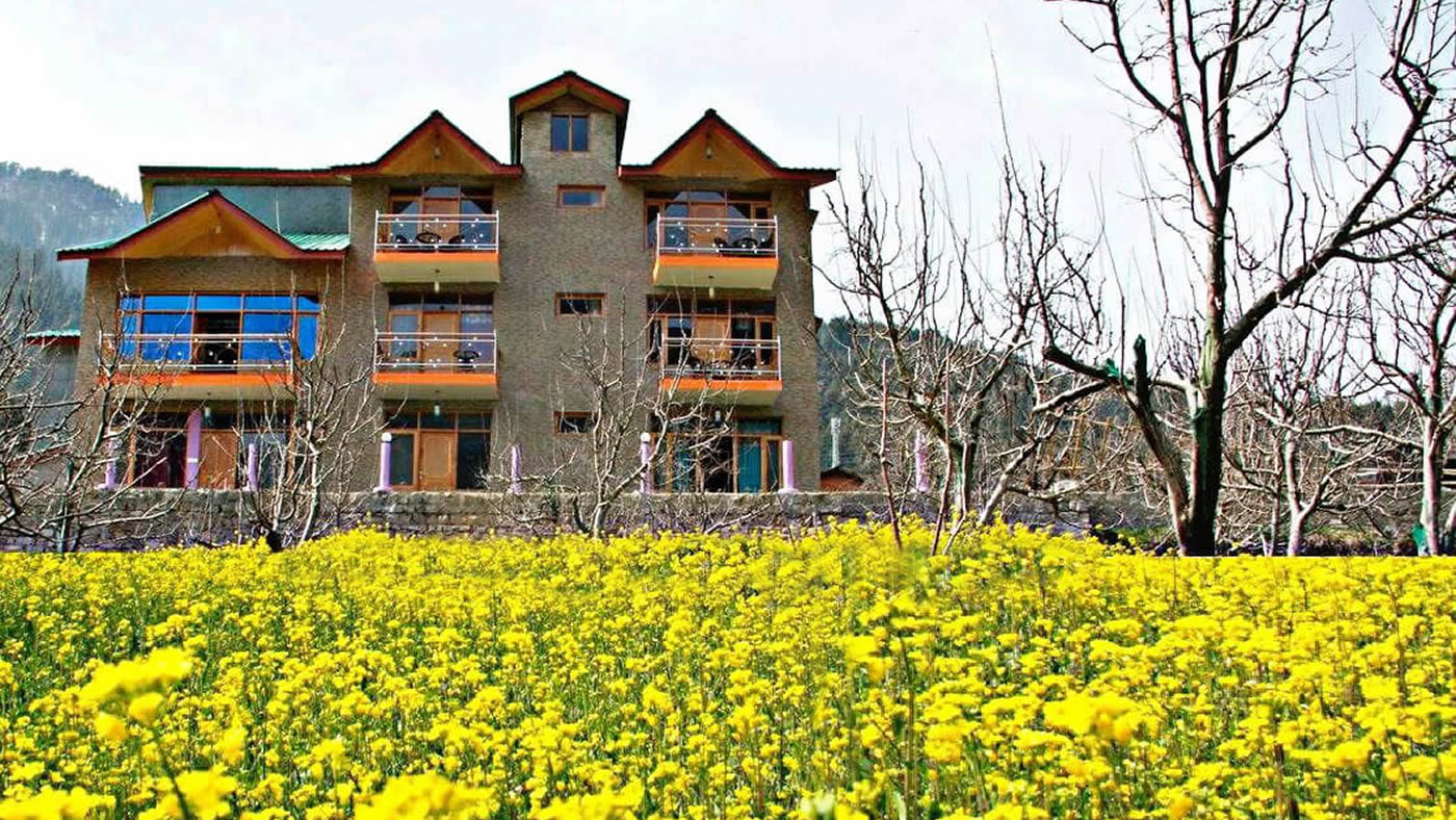 best hotel in manali himachal